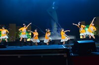 チーム大王イカ