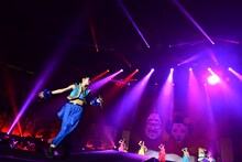 チームしゃちほこ