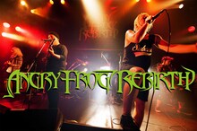 ANGRY FROG REBIRTH