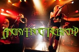 ANGRY FROG REBIRTH