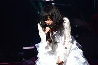 LiSA「LiVE is Smile Always ～今日もいい日だっ～」 の様子。