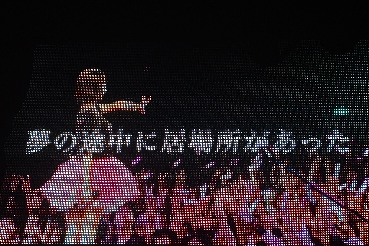 LiSA「LiVE is Smile Always ～今日もいい日だっ～」 の様子。