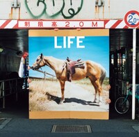 フジファブリック「LIFE」初回限定盤ジャケット