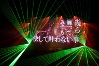 amazarashi「amazarashi LIVE TOUR 2014『あんたへ』」Zepp Tokyo公演の様子。