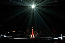 椎名林檎「椎名林檎十五周年 党大会 平成二十五年神山町大会」の様子。（撮影：荒井俊哉）