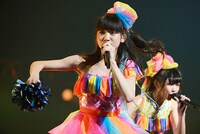 12月22日に東京・日本武道館で行われた東京女子流のワンマンライブ「TOKYO GIRLS′ STYLE『LIVE AT BUDOKAN 2013』」の様子。