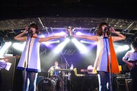 バニラビーンズ