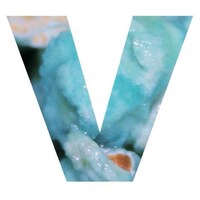 「CreativeDrugStore PopUpShop Vol.2」で限定販売されたVaVa「Blue Popcorn」が今回再発される。