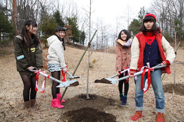 楓を植える乙女新党。