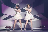 AKB48「AKB48ユニット祭り 2014」の様子。（C）AKS