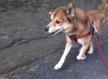 ニーネ「約束」ビデオクリップのワンシーン。