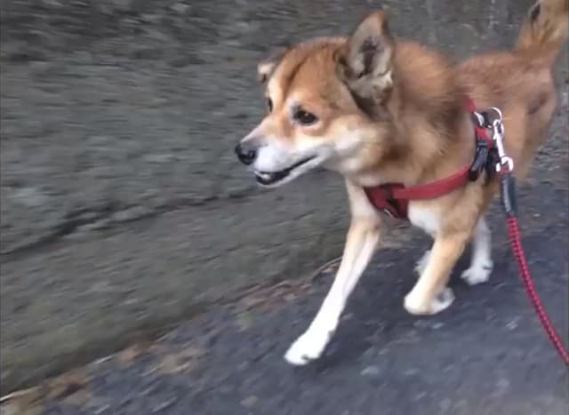 ニーネ「約束」ビデオクリップのワンシーン。