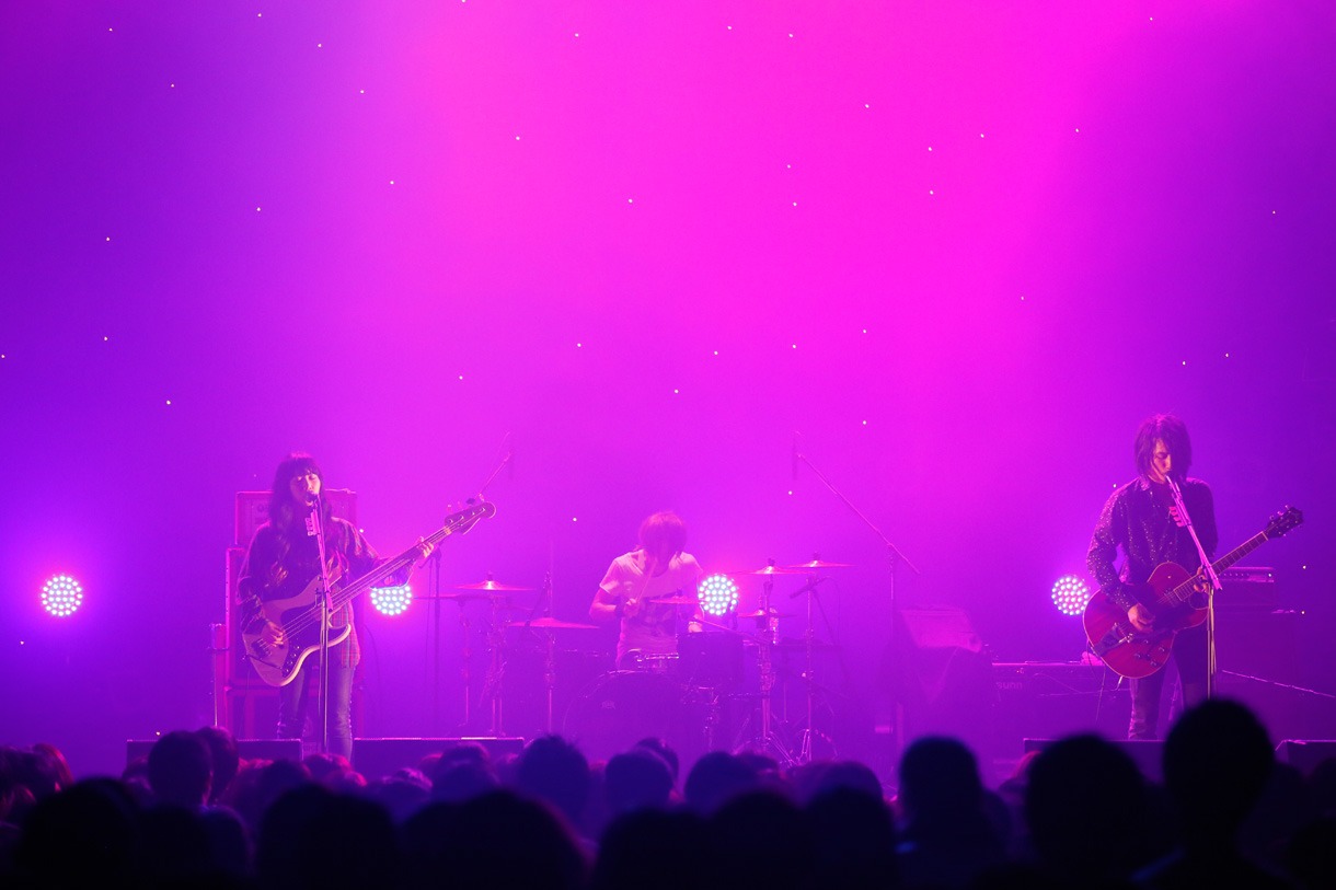 geek sleep sheep「tour confusion bedroom」東京・EX THEATER ROPPONGI公演の様子。（撮影：岡田貴之、石川浩章）
