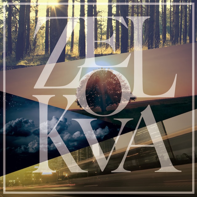 he「ZELKOVA」ジャケット