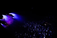 amazarashi「amazarashi LIVE TOUR 2014『あんたへ』」Zepp DiverCity TOKYO公演の様子。