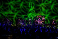 昨日2月6日に大阪・なんばHatchで行われたDIR EN GREYのライブの様子。（Photo by Takimoto "JON..." Yukihide）