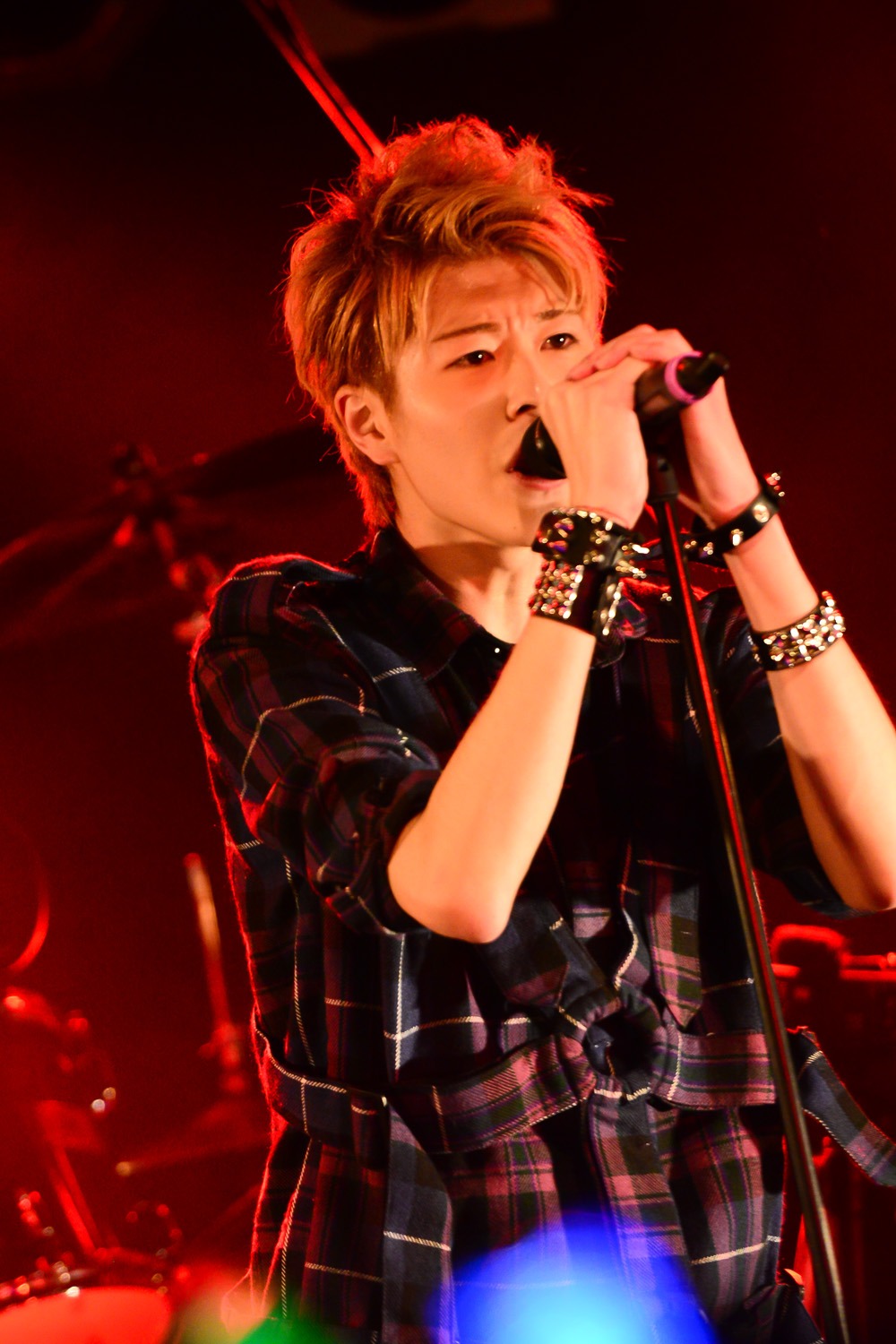 HAMA（Vo）
