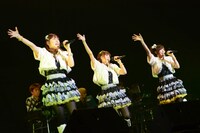 THE IDOLM@STER CINDERELLA GIRLS