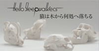 Hello Sleepwalkers「猿は木から何処へ落ちる」PVのワンシーン。