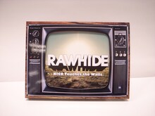 NICO Touches the Walls「ローハイド」完全生産限定盤のサンプル。