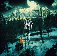 dip「neue welt」ジャケット