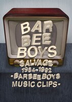 BARBEE BOYS「SALVAGE 1984-1992 BARBEE BOYS MUSIC CLIPS」ジャケット
