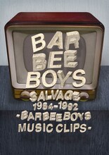 BARBEE BOYS「SALVAGE 1984-1992 BARBEE BOYS MUSIC CLIPS」ジャケット