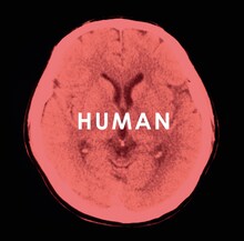 福山雅治「HUMAN」ジャケット