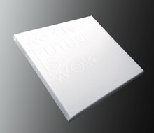 m-flo「FUTURE IS WOW」通常時ジャケット