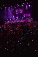 チームしゃちほこ「野郎NIGHT2014」の様子。