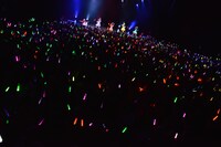 ももいろクローバーZ「おしいろマンハッタン▽～なんてこったパンナコッタ～」の様子。