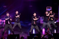 チームしゃちほこ「野郎NIGHT2014」の様子。