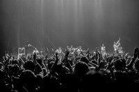 たむらぱん「TAMURAPAN “love and pain” TOUR」東京・Zepp Tokyoの様子。