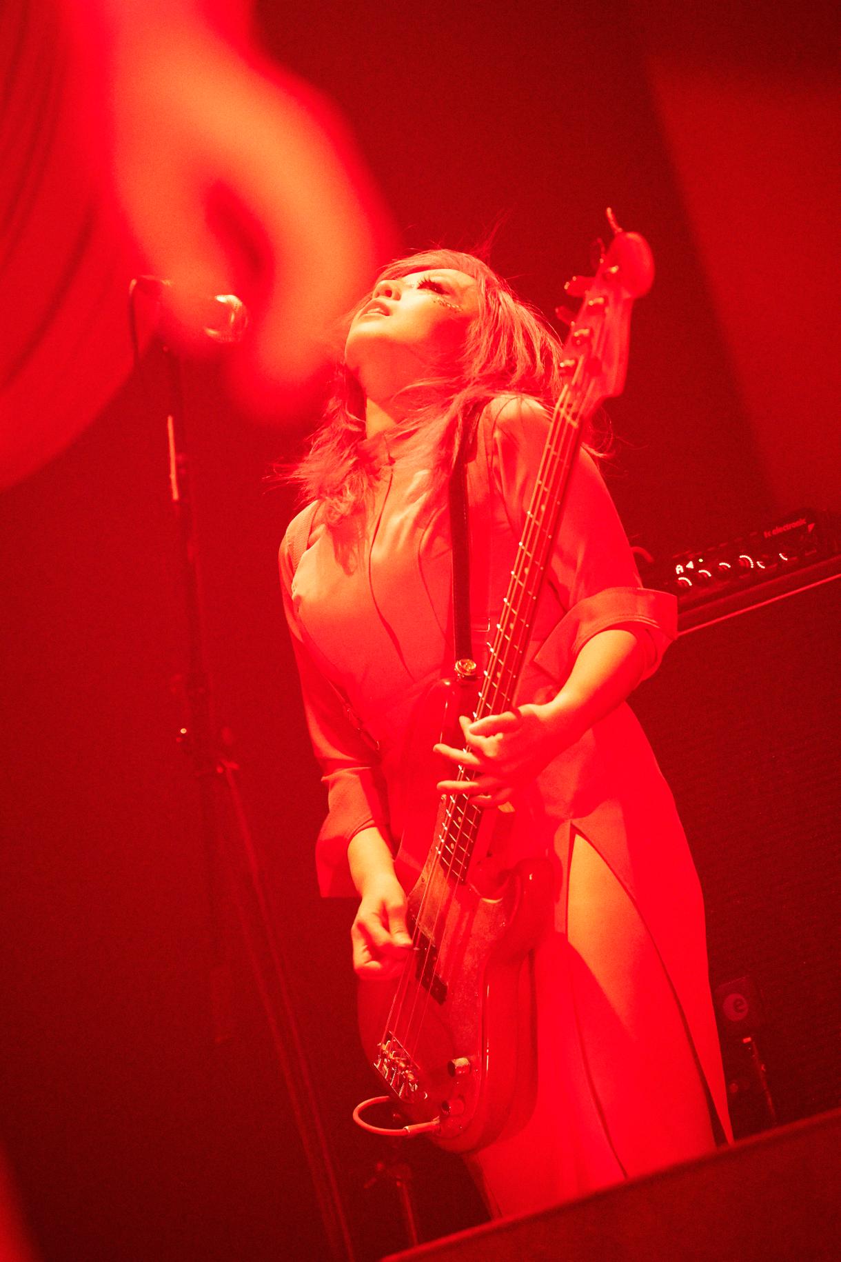 やしちゃん（B）（撮影：中野修也）