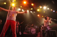 Hermann H. & The Pacemakersのライブの様子。