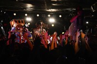 2月28日に東京・下北沢SHELTERで行われた髭「Countdown to 37 ～37, I'm on the way!!～」の様子。