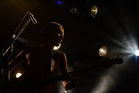 たなしん（B, Cho）