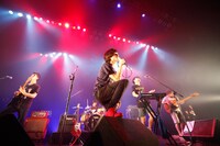 キュウソネコカミのライブの様子。