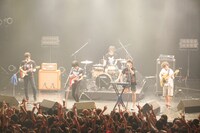 キュウソネコカミ