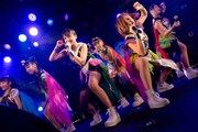 Cheeky Parade