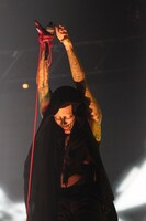 DIR EN GREY「DUM SPIRO SPERO」3月8日の東京・日本武道館公演の様子。（撮影：尾形隆夫）