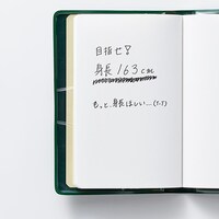 「私立手越女子高等学校 公式生徒手帳」見本。庄司芽生が演じる宇佐美の手書きメモ。
