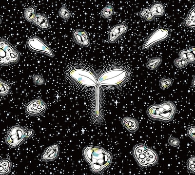 asobius「pray&grow」ジャケット