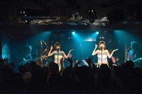 バニラビーンズ