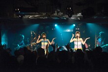 バニラビーンズ