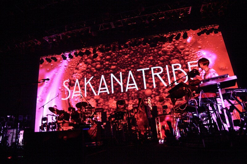 今年3月15日に行われたサカナクション「SAKANAQUARIUM2014"SAKANATRIBE"」TOKYO DOME CITY HALL公演の様子。（撮影：石阪大輔[hatos]）