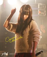 クルミクロニクル