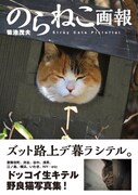 カメラマン菊池茂夫が猫パネル展＆ベーシスト3人と座談会