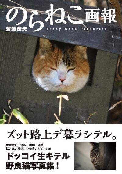 菊池茂夫「のらねこ画報」表紙