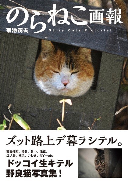 菊池茂夫「のらねこ画報」表紙